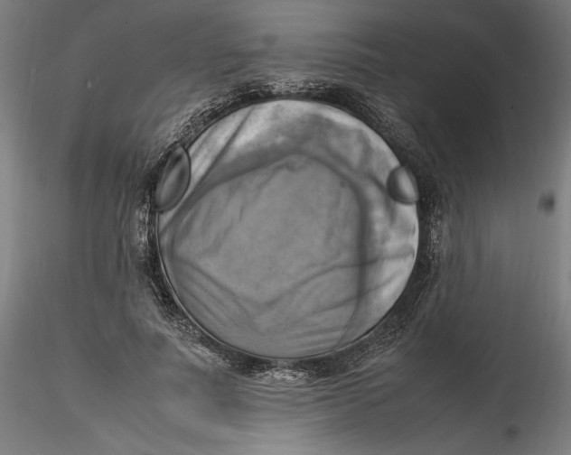 X0000115560691200911271457