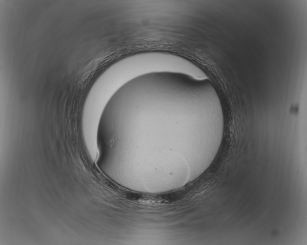 X0000115560693200911271457