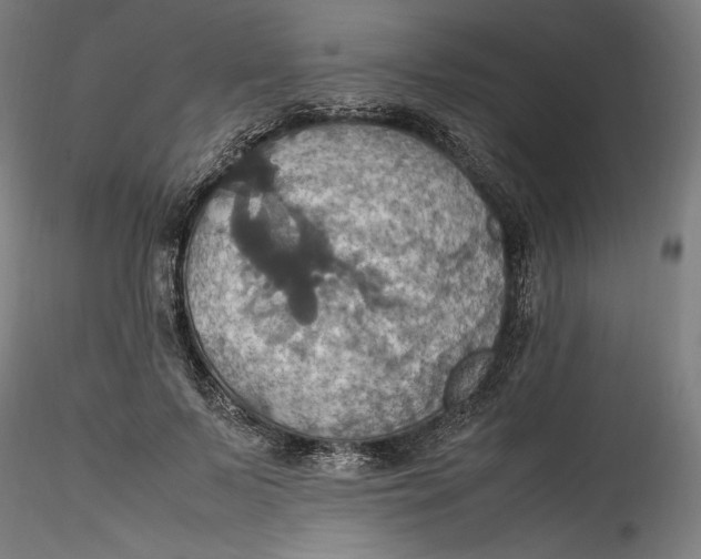 X0000115560695200911271457