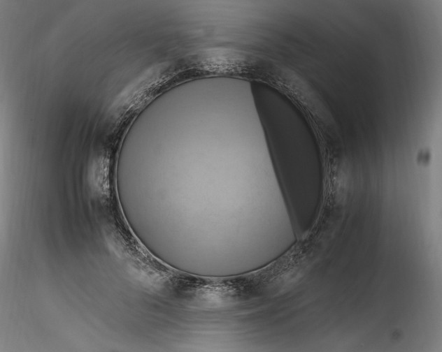 X0000115560696200911271457