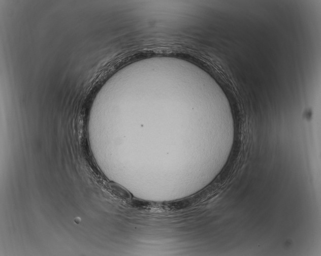 X0000115560697200911271457