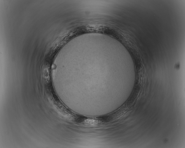 X0000115560699200911271457