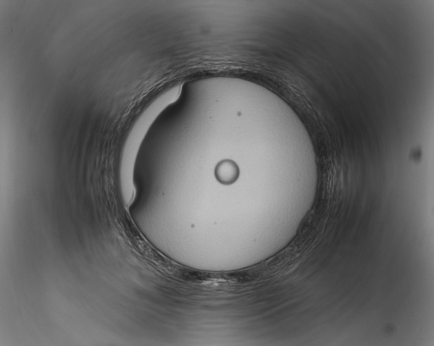 X0000115560700200911271457