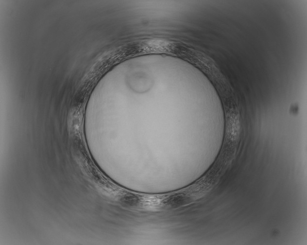 X0000115560701200911271457