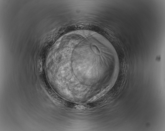 X0000115560703200911271457