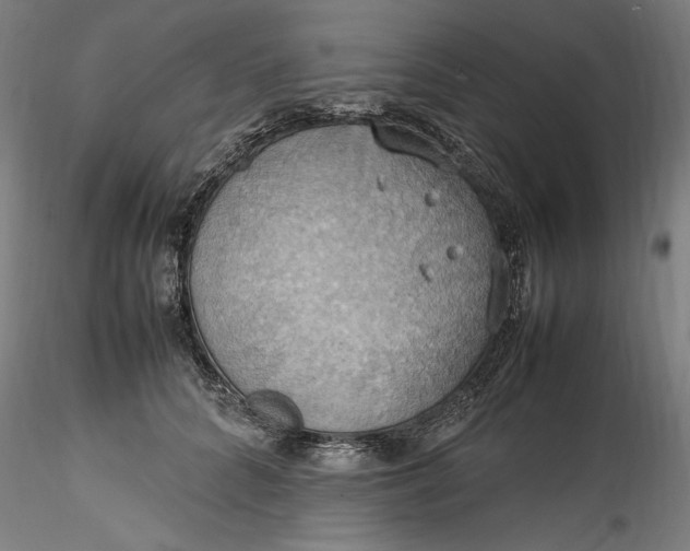 X0000115560704200911271457