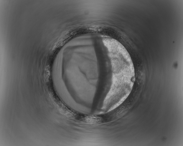 X0000115560707200911271457