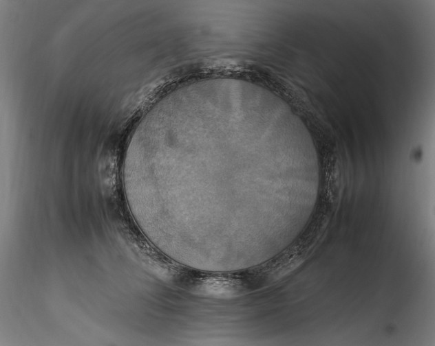 X0000115560708200911271457