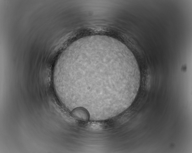 X0000115560710200911271457