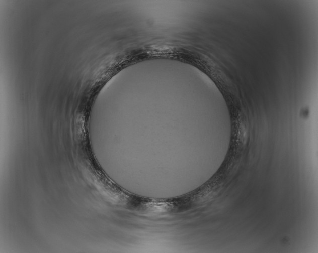 X0000115560711200911271457