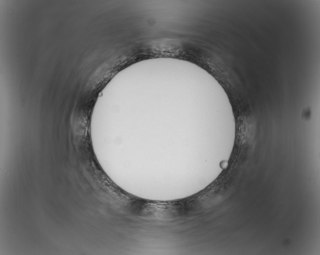 X0000115560713200911271457