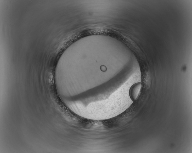 X0000115560715200911271457