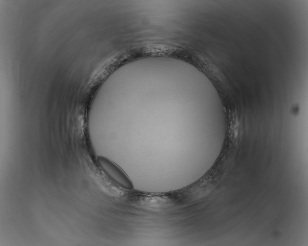 X0000115560716200911271457