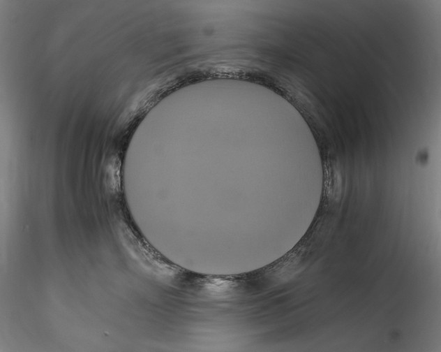 X0000115560718200911271457