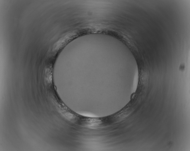 X0000115560719200911271457