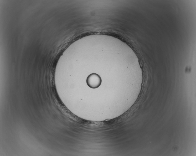 X0000115560720200911271457