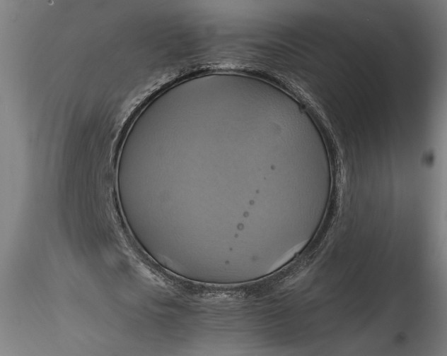 X0000115560721200911271456