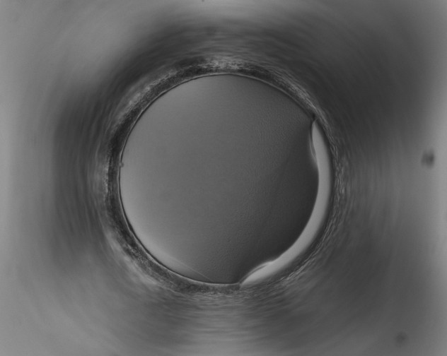 X0000115560722200911271456