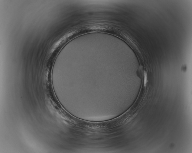 X0000115560723200911271456