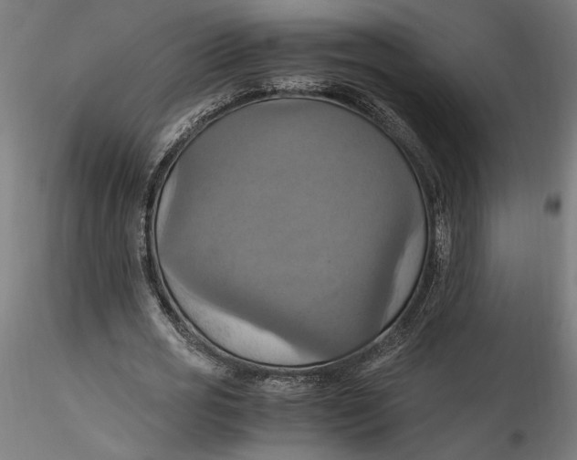 X0000115560725200911271456