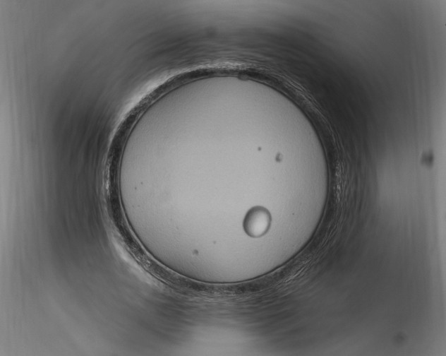 X0000115560726200911271456