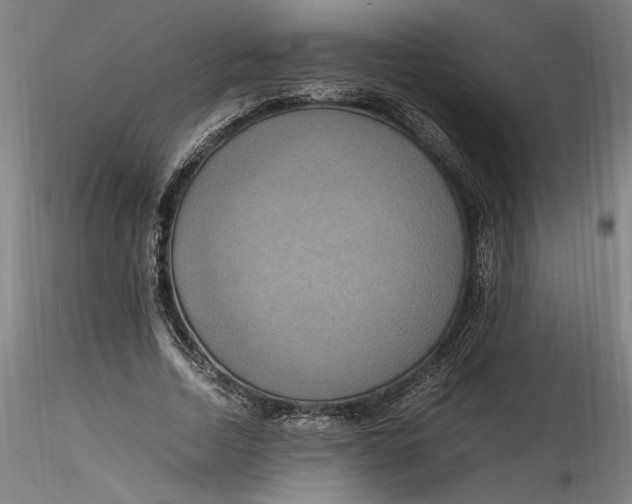 X0000115560730200911271456