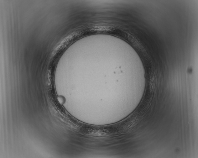 X0000115560731200911271456