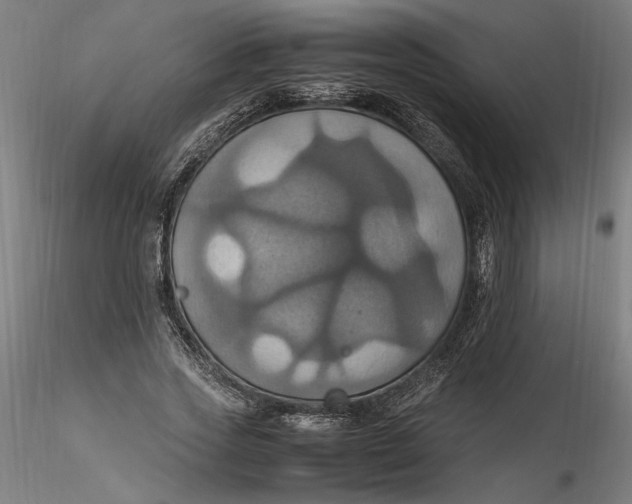 X0000115560733200911271456