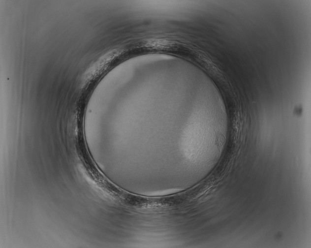 X0000115560734200911271456