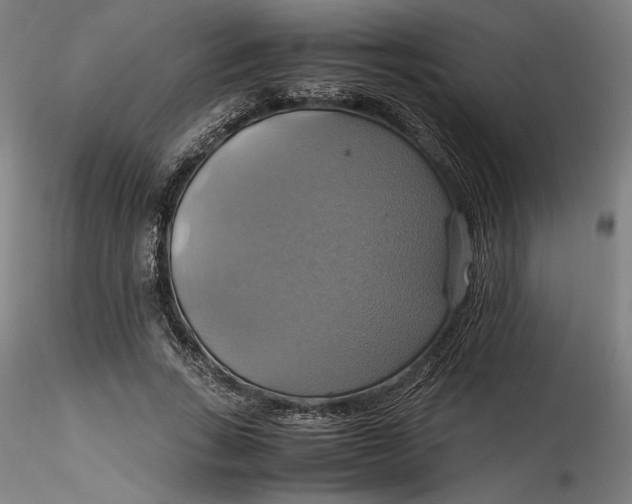 X0000115560735200911271456