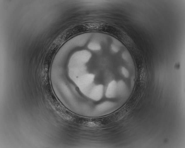 X0000115560737200911271456