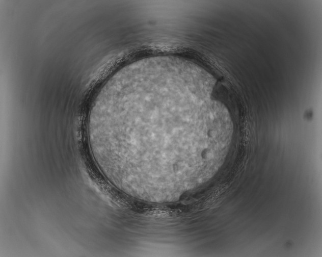 X0000115560738200911271456