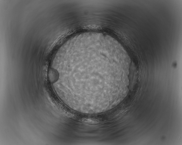 X0000115560739200911271456