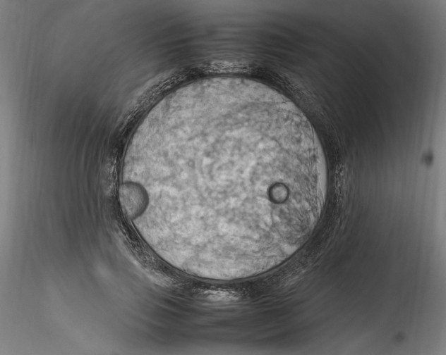 X0000115560741200911271456