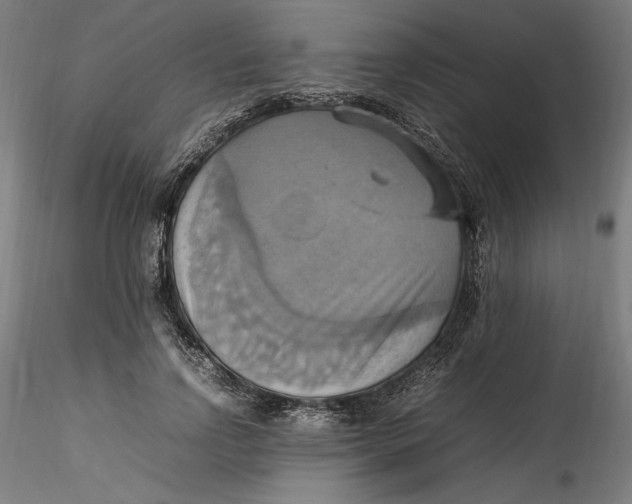 X0000115560742200911271456