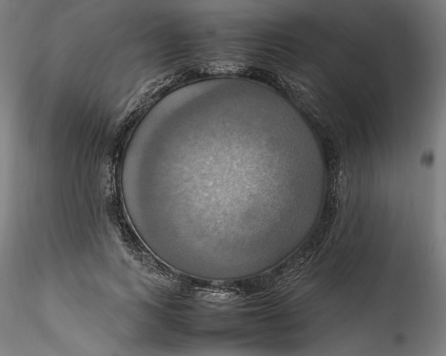 X0000115560743200911271456