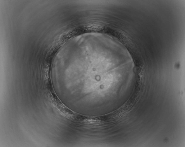 X0000115560745200911271456