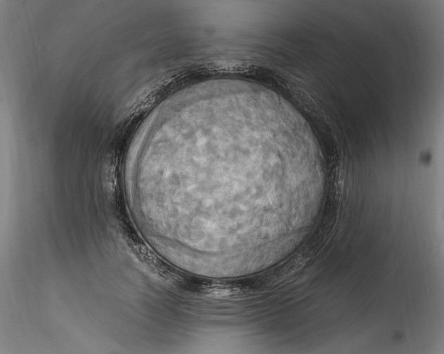 X0000115560746200911271456