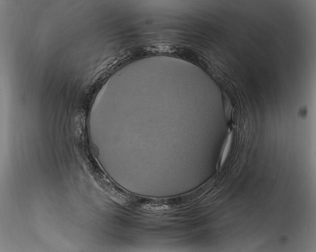 X0000115560747200911271456