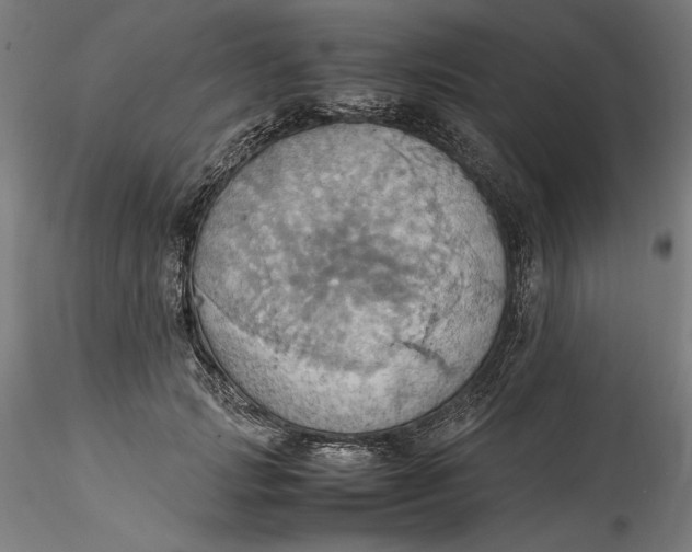 X0000115560749200911271456