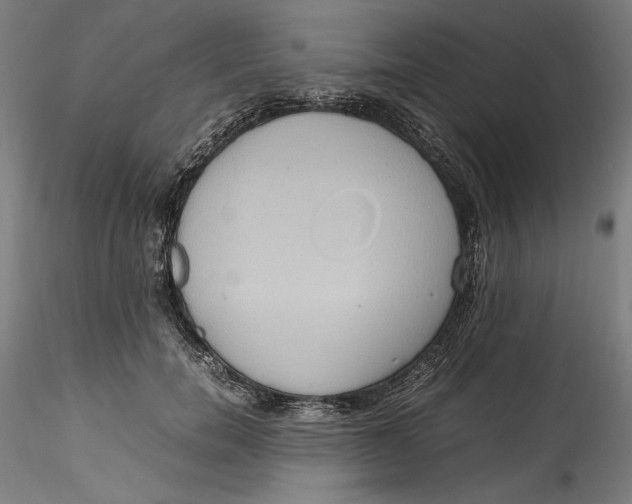 X0000115560750200911271456