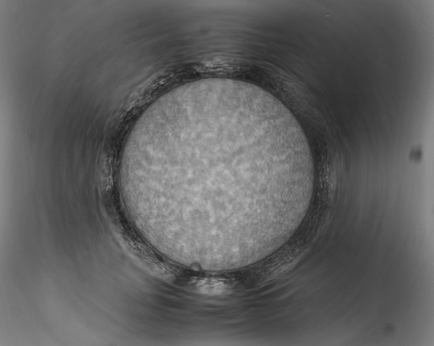 X0000115560751200911271456