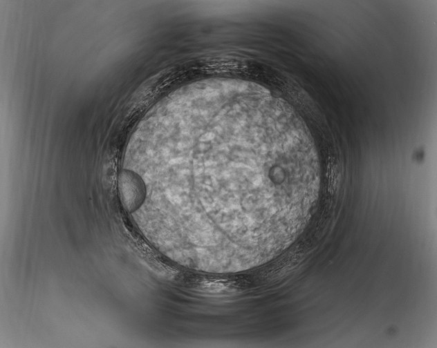 X0000115560753200911271456