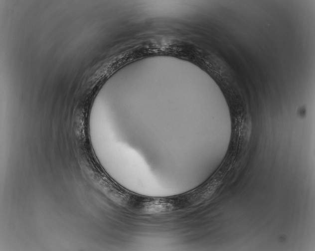 X0000115560754200911271456