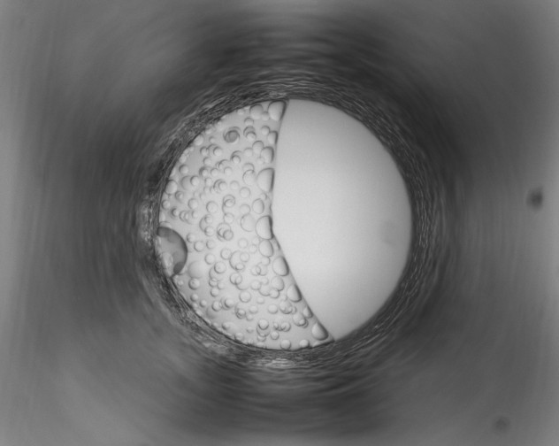 X0000115560755200911271456