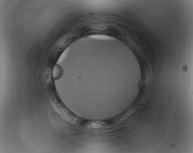 X0000115560758200911271456