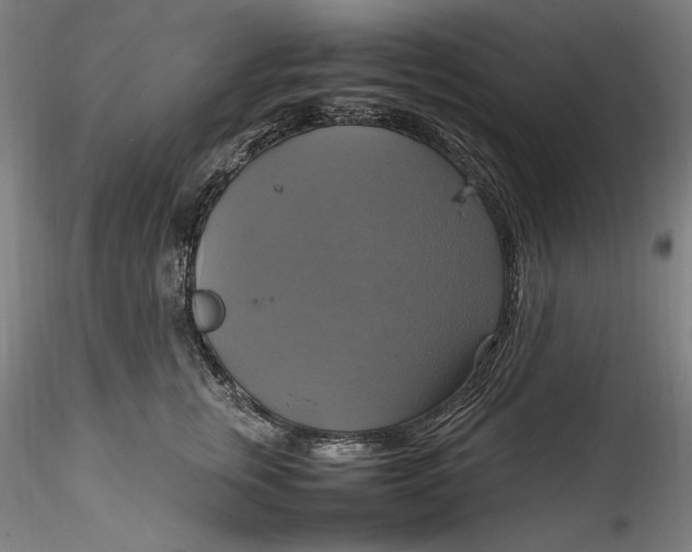 X0000115560759200911271456