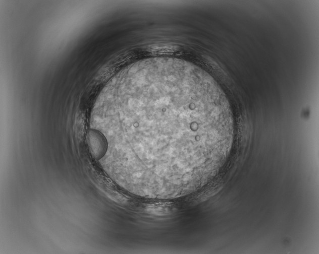 X0000115560761200911271457