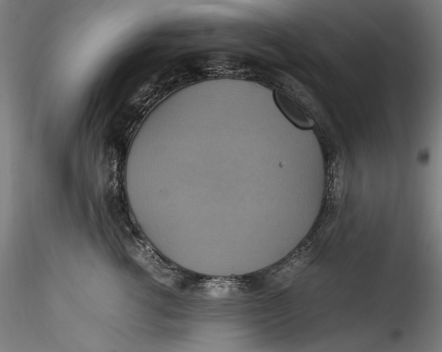 X0000115560762200911271457