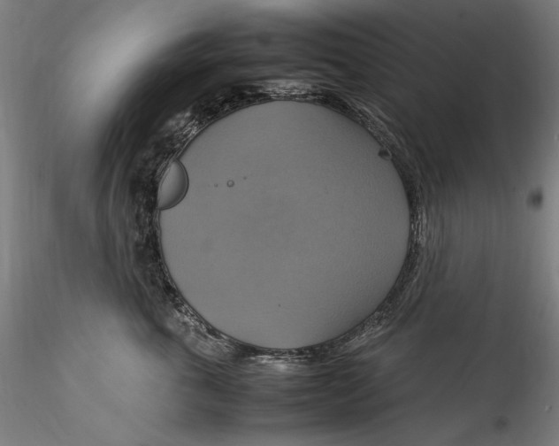 X0000115560763200911271457